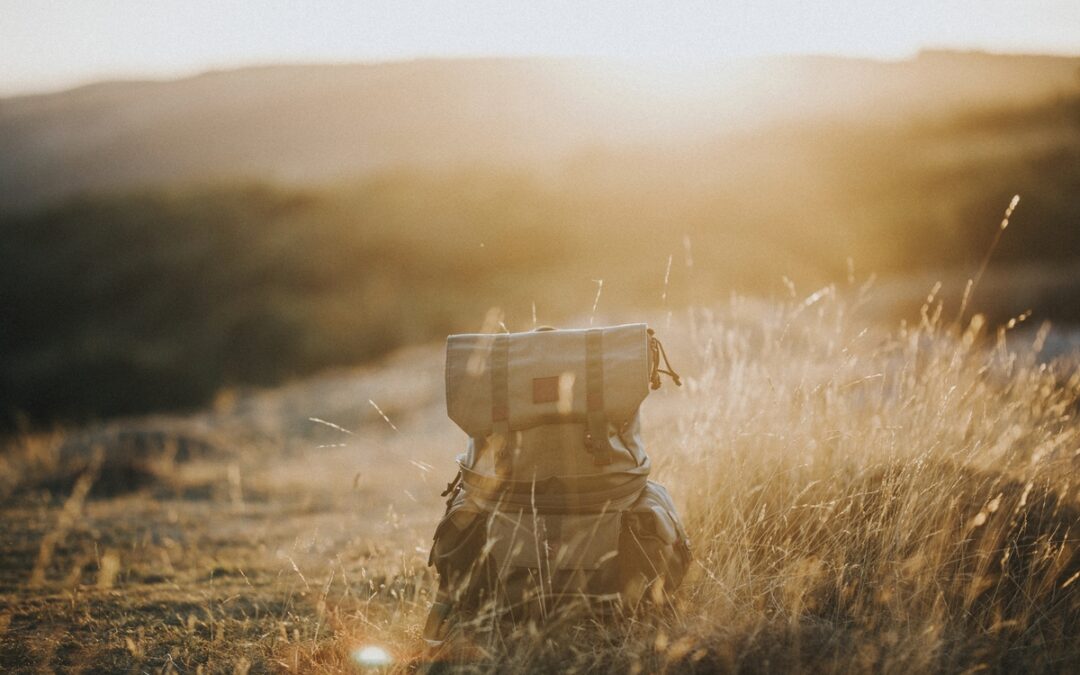Sustainable Marketing Guide for Businesses