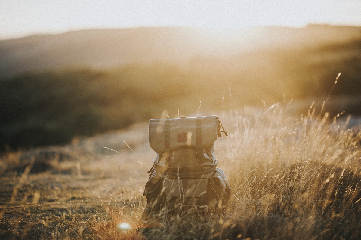 Sustainable Marketing Guide for Businesses