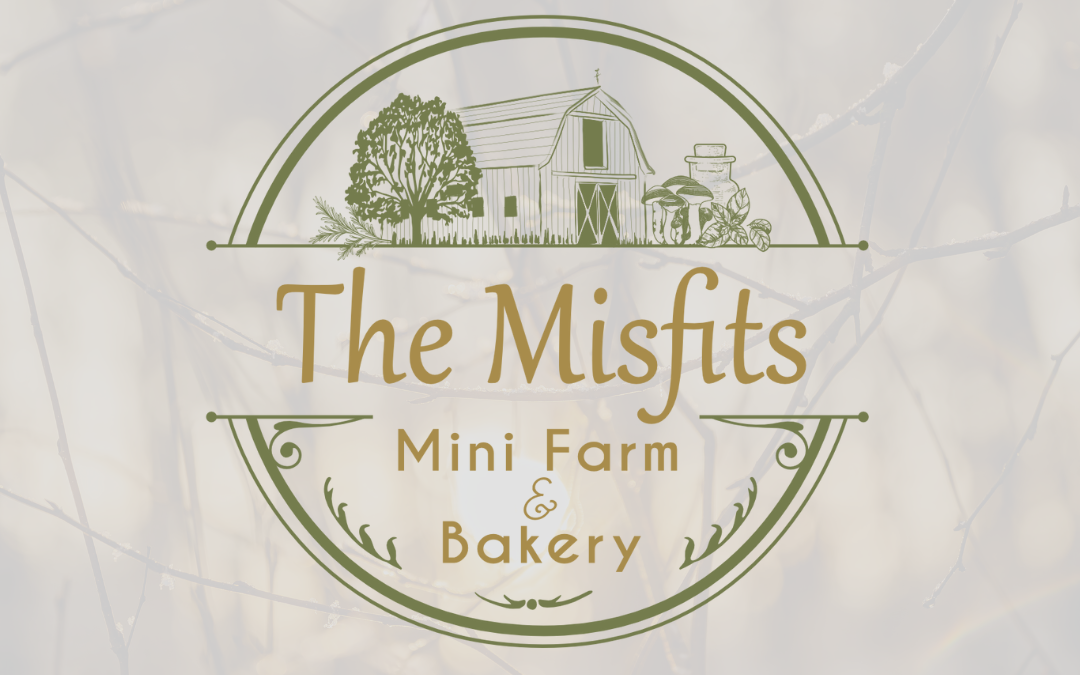 A Brand Journey | Bringing The Misfits Mini Farm & Bakery to Life